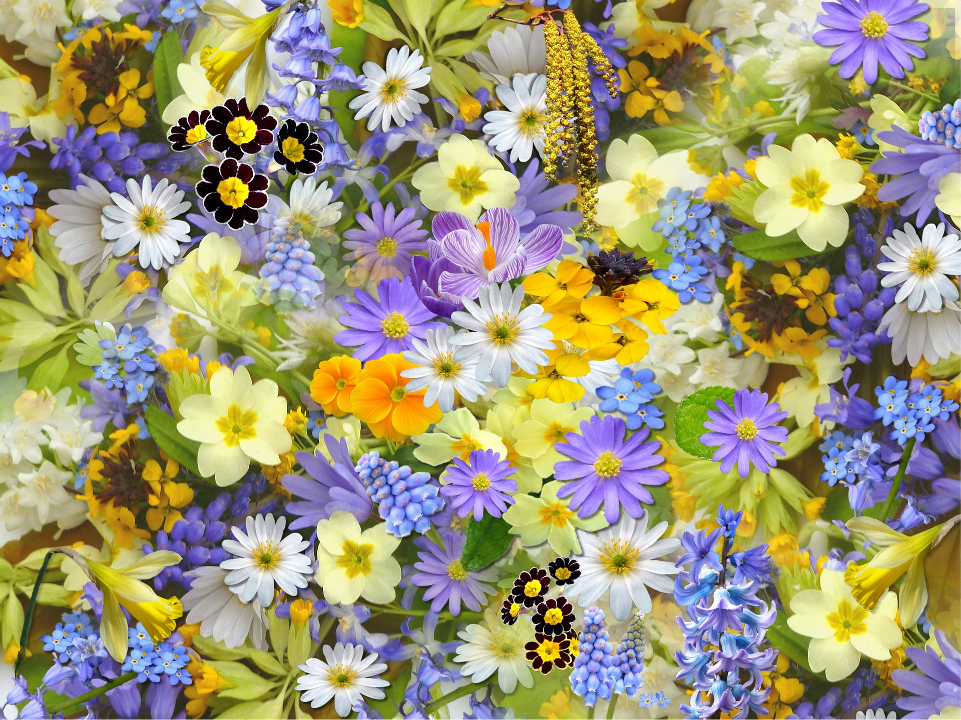 12 Brani Primaverili: primavera Einaudi